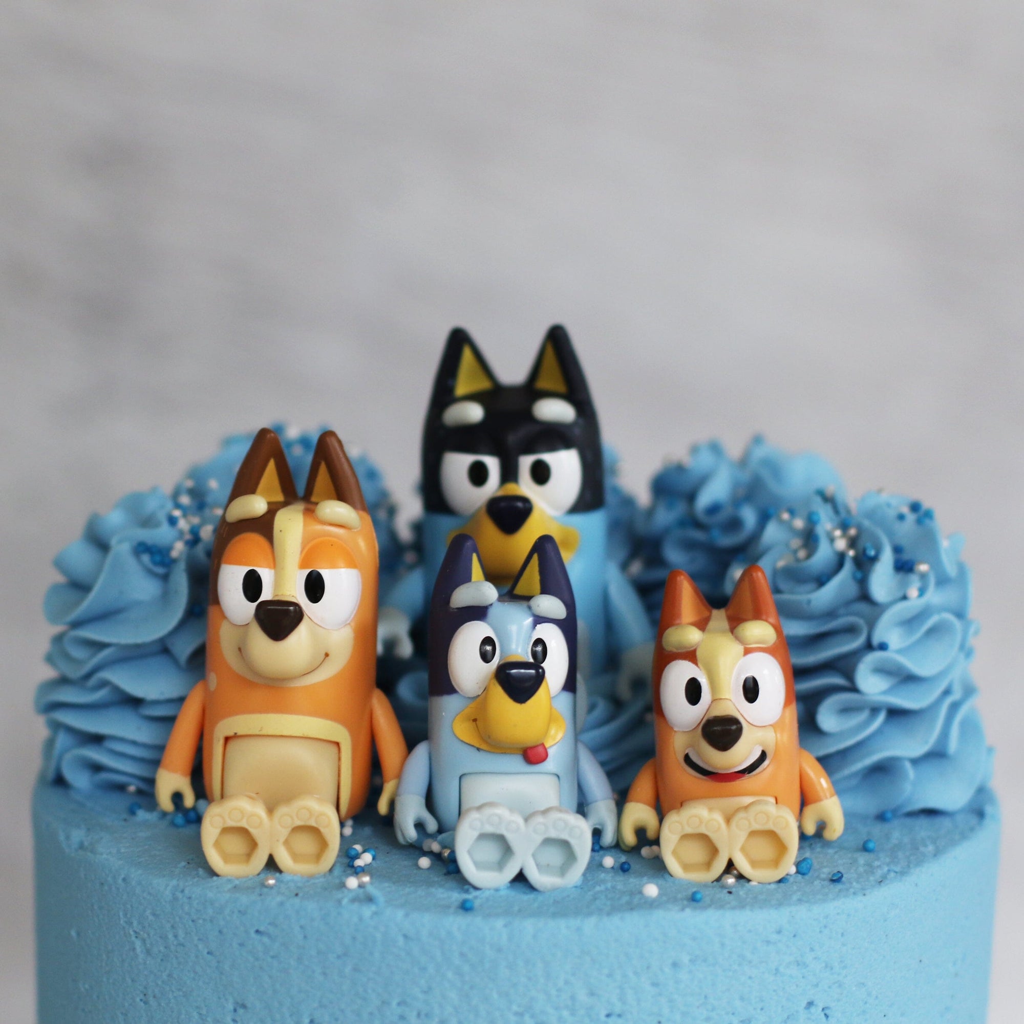 bluey birthday cake