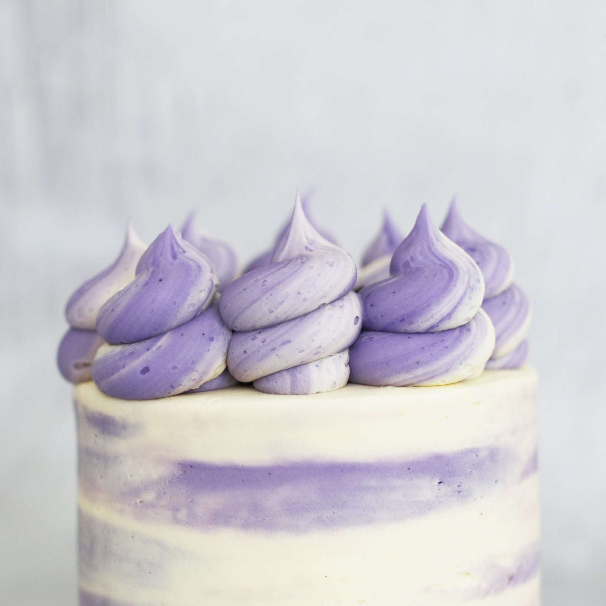 Blueberry Cheesecake Cake-The Cupcake Queens