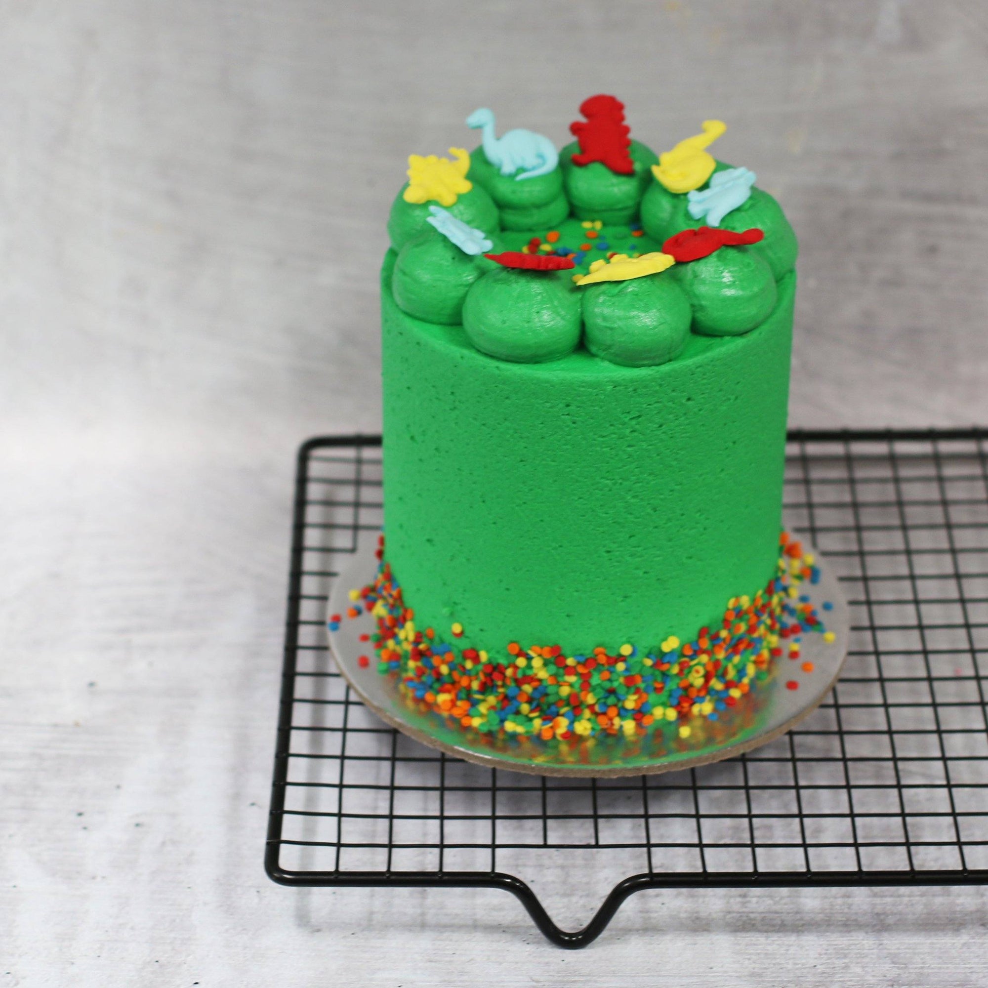 Dinosaur Cake-The Cupcake Queens