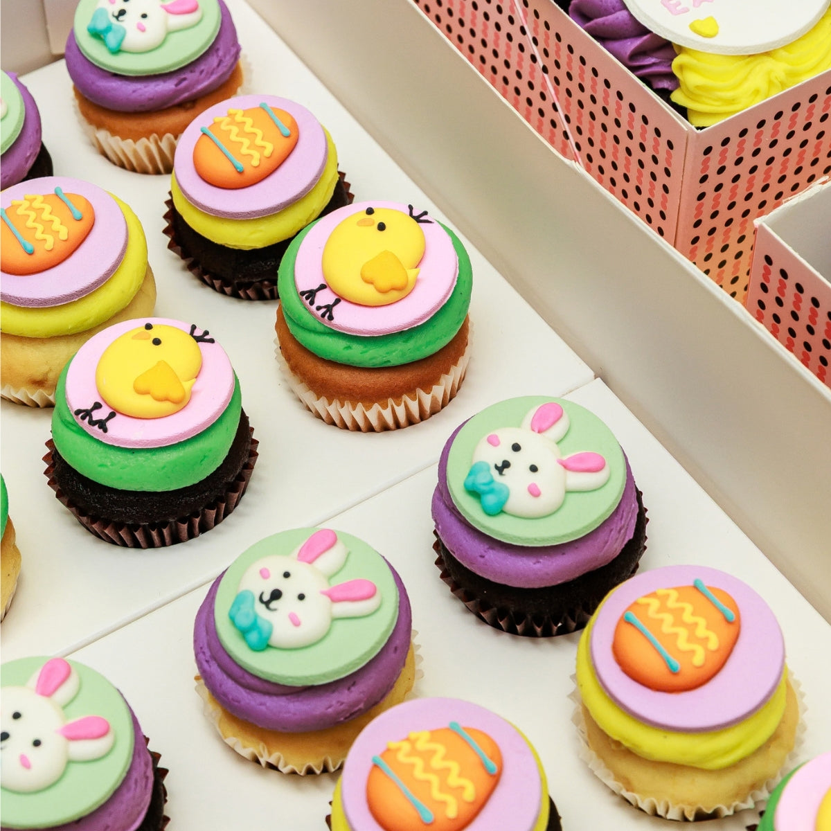 Easter Cupcakes - Mini Gift Box 24 Pack