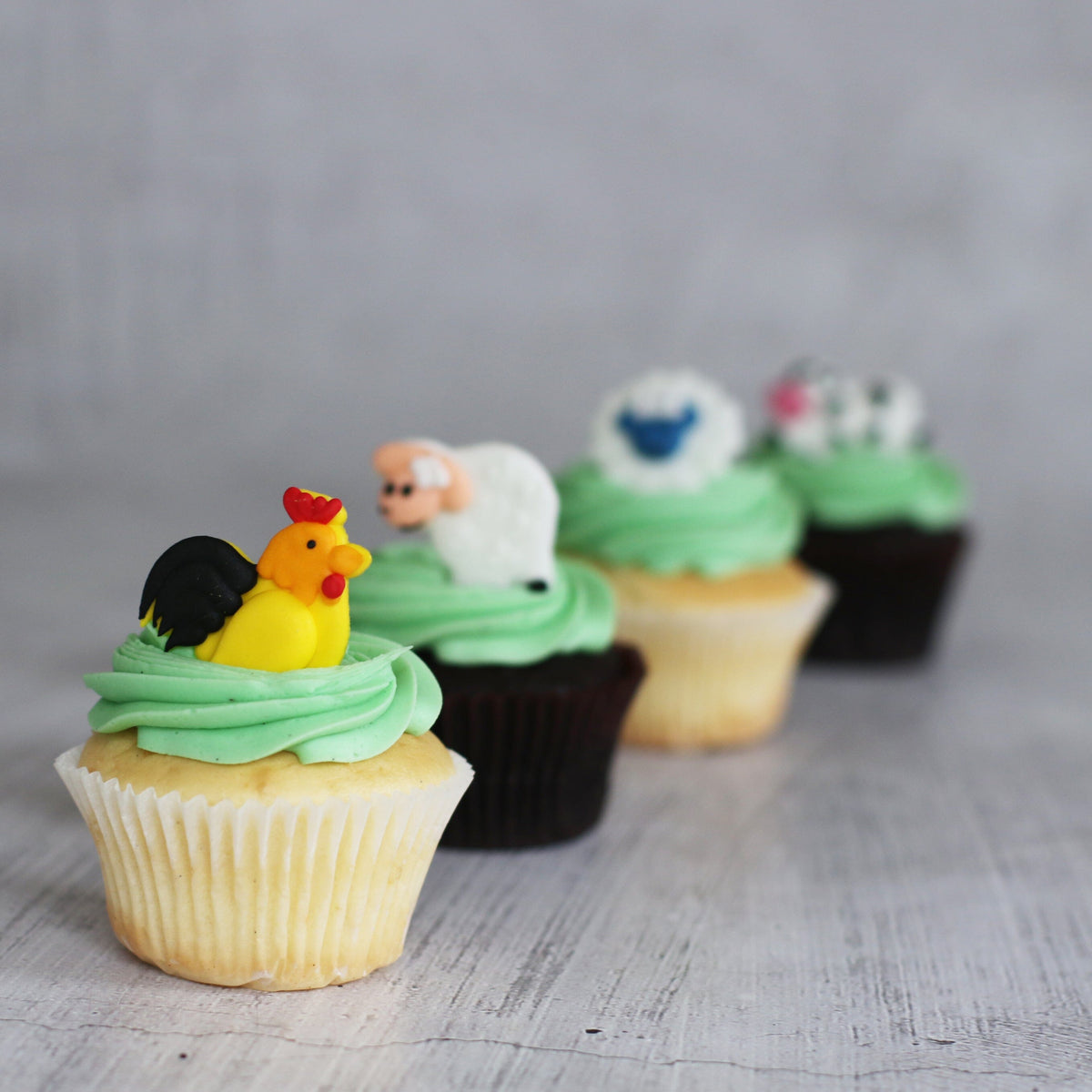 Farm Animals Regular Gift Box-The Cupcake Queens