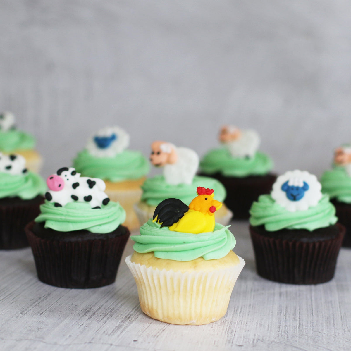 Farm Animals Regular Gift Box-The Cupcake Queens