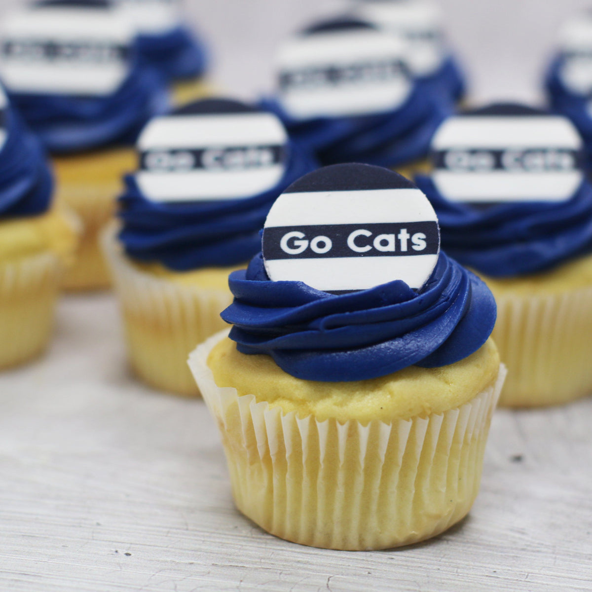 Go Cats - Football Cupcakes-The Cupcake Queens