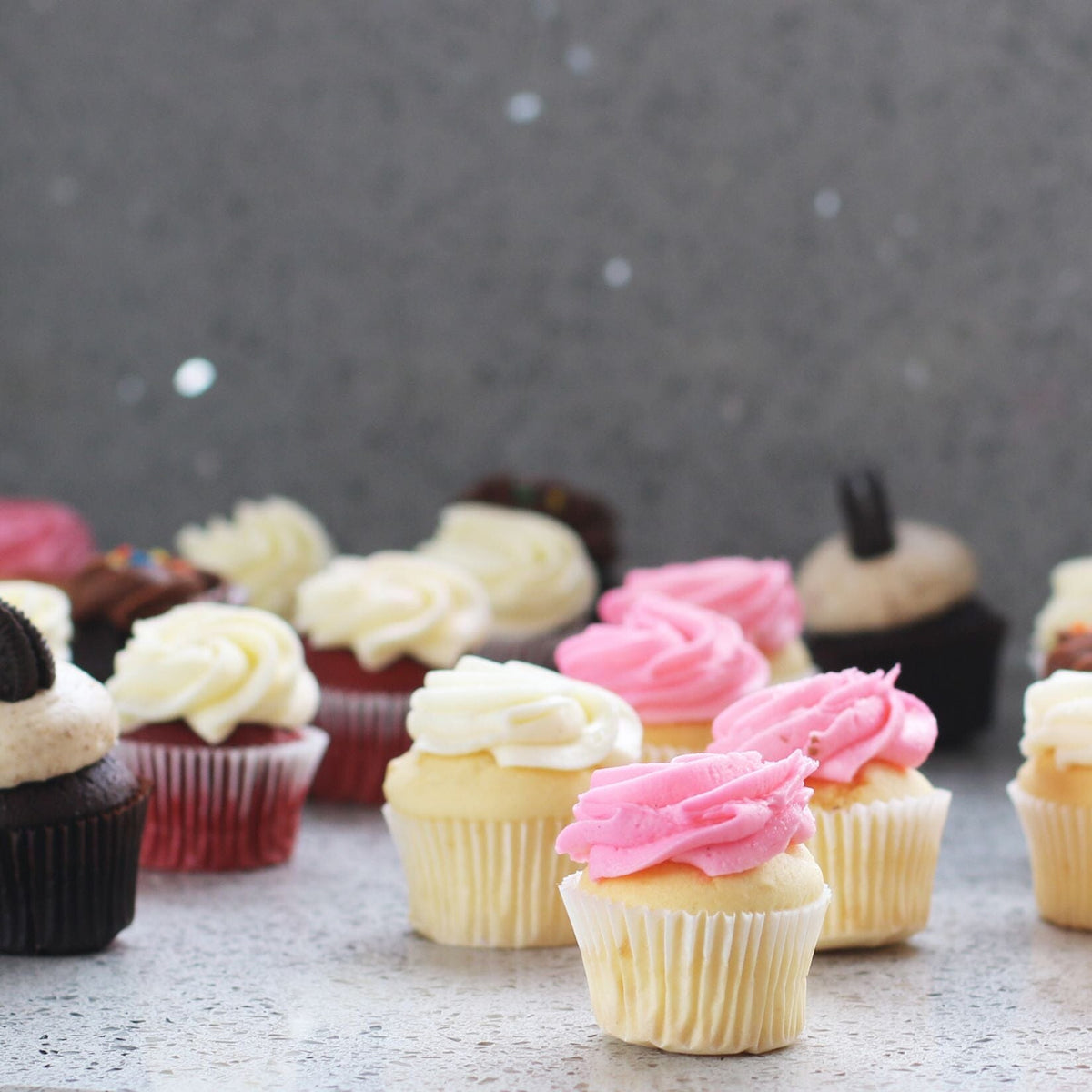 Mini Daily Favourites 12 Pack-The Cupcake Queens