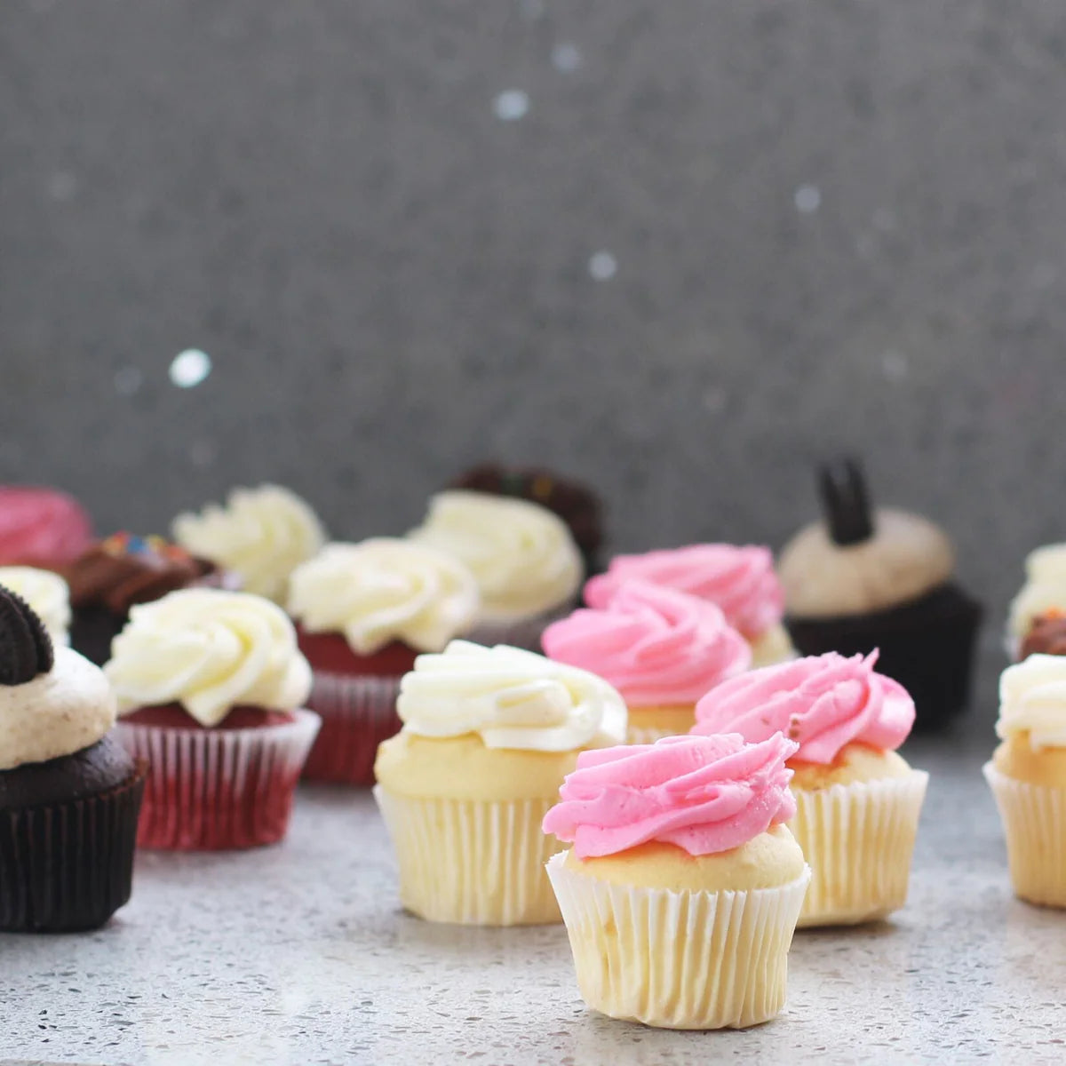 Mini Daily Favourites 24 Pack-The Cupcake Queens