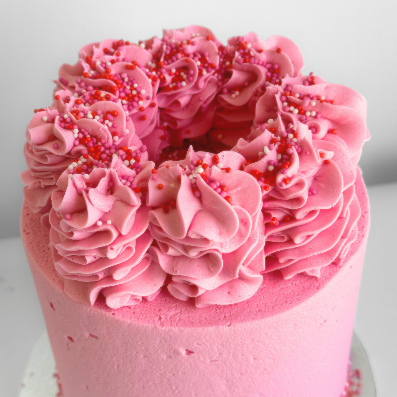 Raspberry Chocolate Cake (VF + GF)-The Cupcake Queens