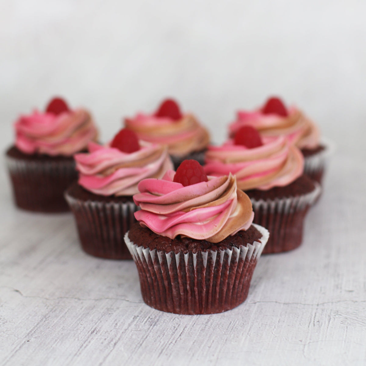 Raspberry Ripple Regular Gift Box-The Cupcake Queens