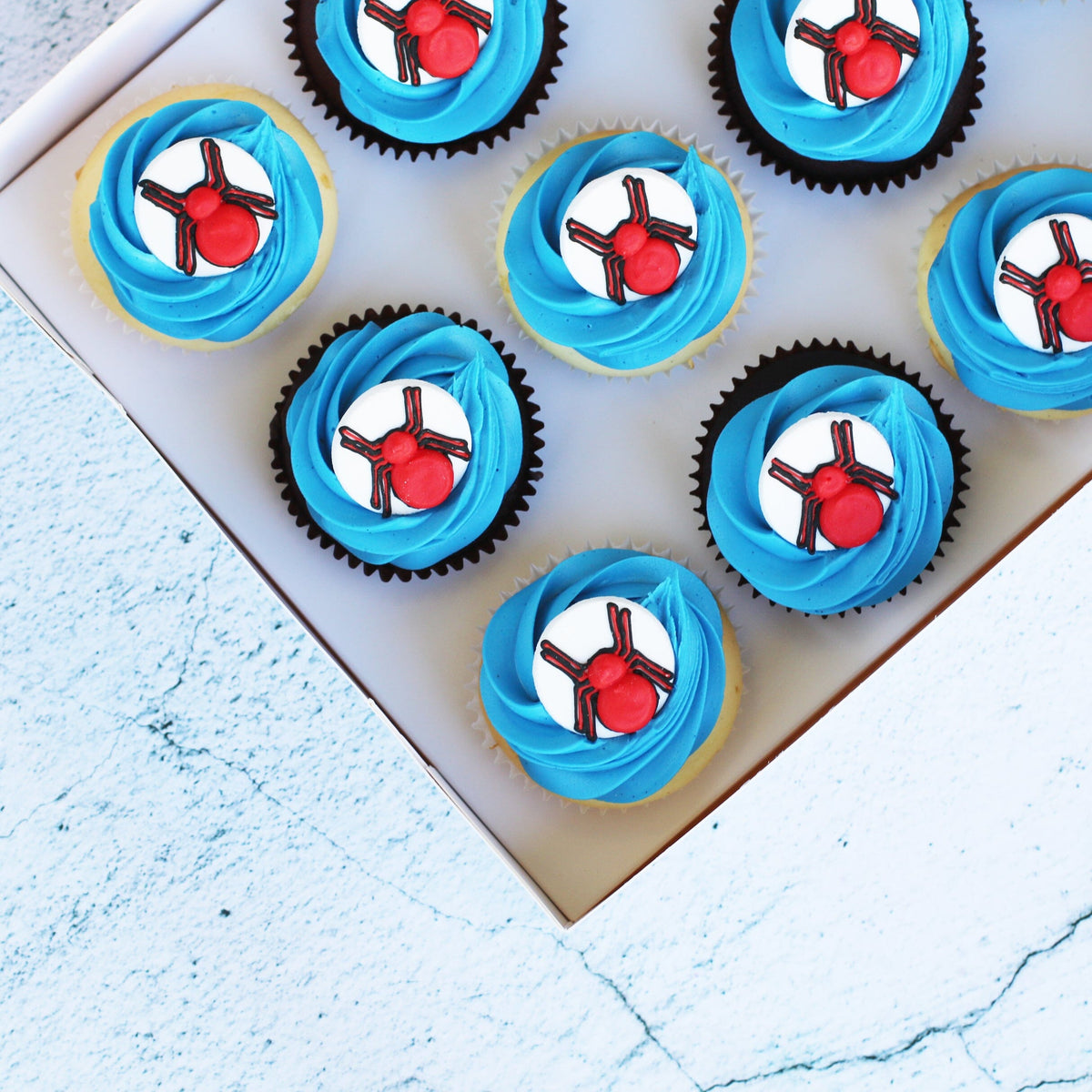 Spider-Man Regular Gift Box-The Cupcake Queens