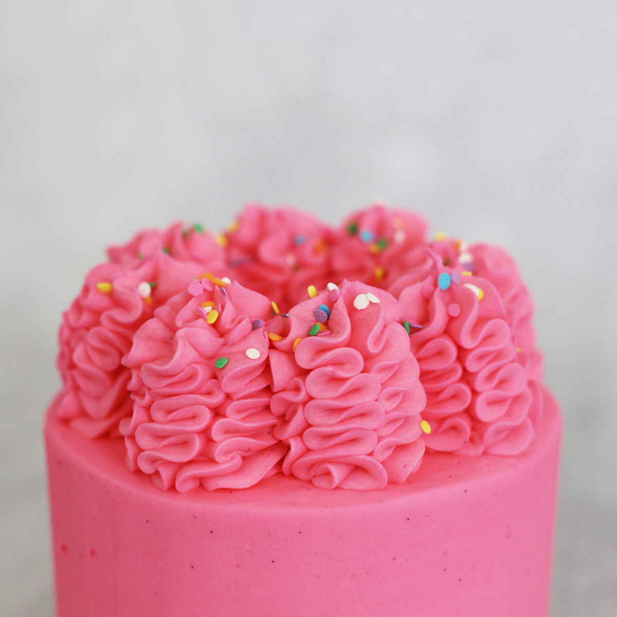 Pretty Pink Cake - 5 Inch Cakes The Cupcake Queens 