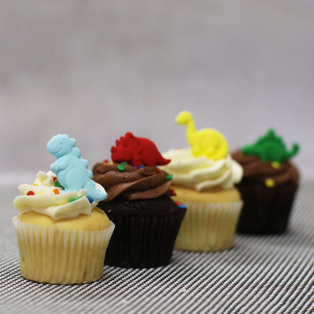 Dinosaur Mini Box Cupcakes The Cupcake Queens 