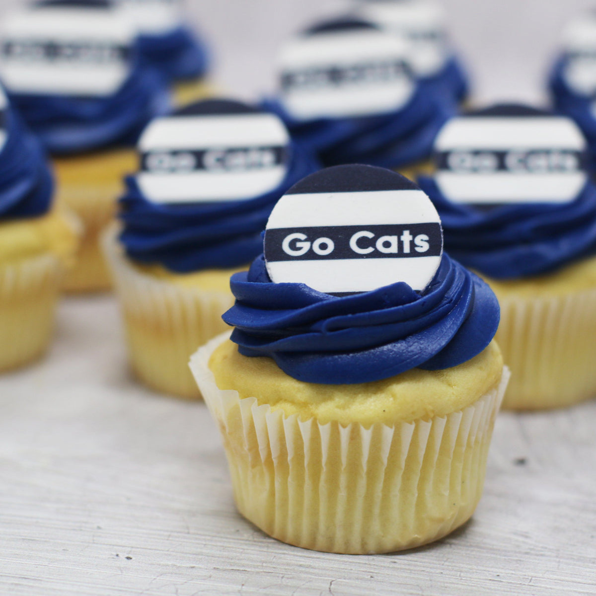Go Cats - Football Cupcakes Cupcakes The Cupcake Queens 