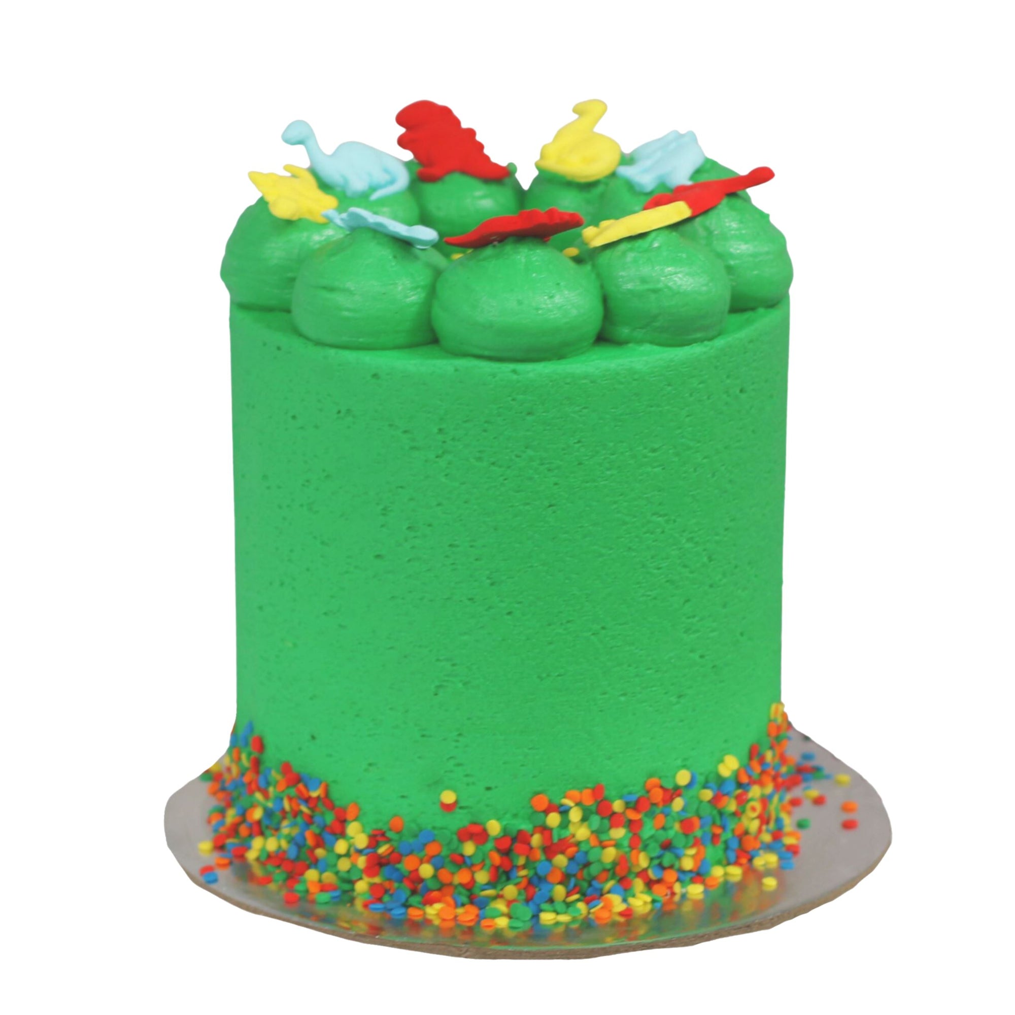 Dinosaur Cake Cakes The Cupcake Queens 
